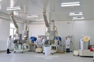 光影藝術(shù)，味蕾綻放 比客食品廠與哈爾濱雷鳴攝影的商業(yè)攝影合作