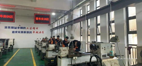 大邑發(fā)布公共服務(wù)成績(jī)單 基礎(chǔ)教育與教育咨詢(xún)服務(wù)成果顯著